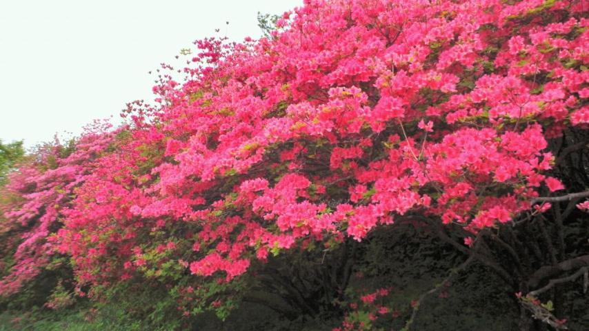ناسوشيوبارا Kadoya Ryokan المظهر الخارجي الصورة