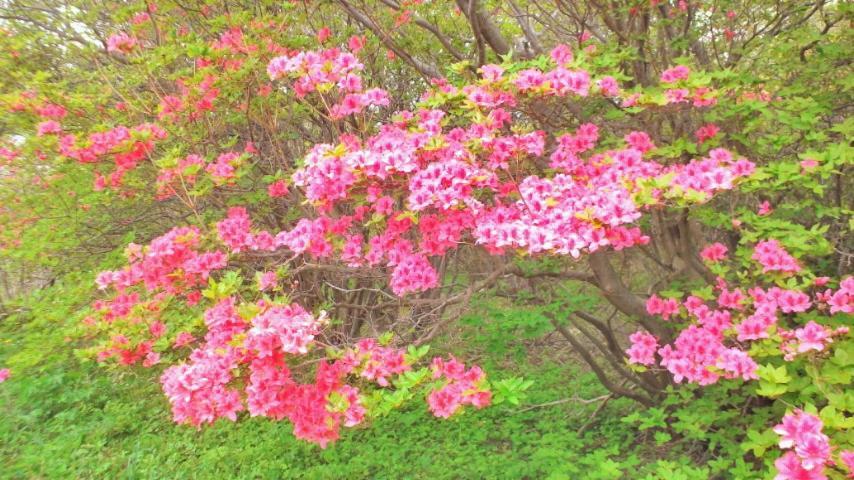 ناسوشيوبارا Kadoya Ryokan المظهر الخارجي الصورة